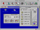 Program manager